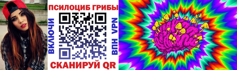 Купить закладки  Кропоткин  Псилоцибиновые грибы GOLDEN TEACHER 